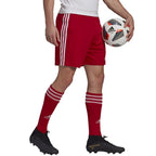 Adidas Squadra 21 Short M GN5771 Clothing/Football Adidas