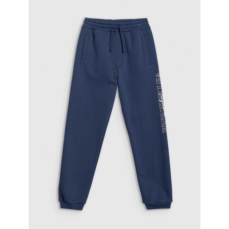 Boys' jogger sweatpants 4F 4FJRSS26TTROM1733-31S 4f