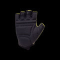 GRIPSE gloves In preparation Your Sports Performance
