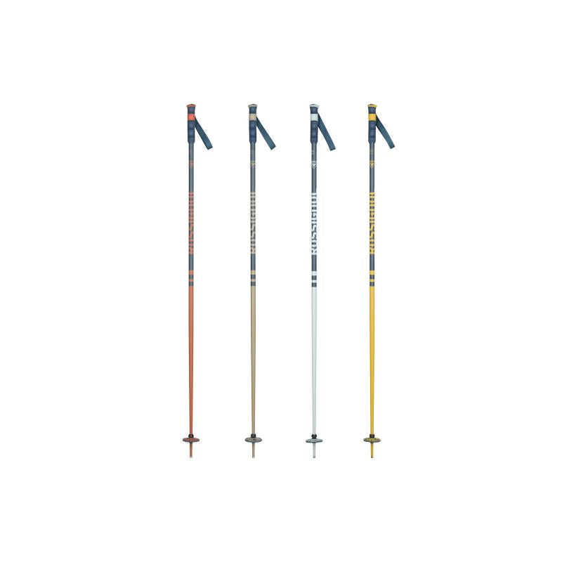 ROSSIGNOL STOVE BOX 20 PAIRS multicolor ski poles Rossignol