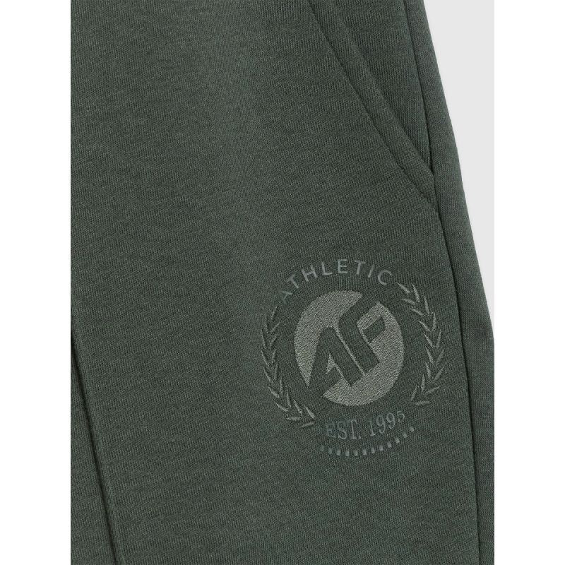 Men's jogger sweatpants 4F 4FRAW25TTROM1671-40M *Kategoria tymczasowa Your Sports Performance
