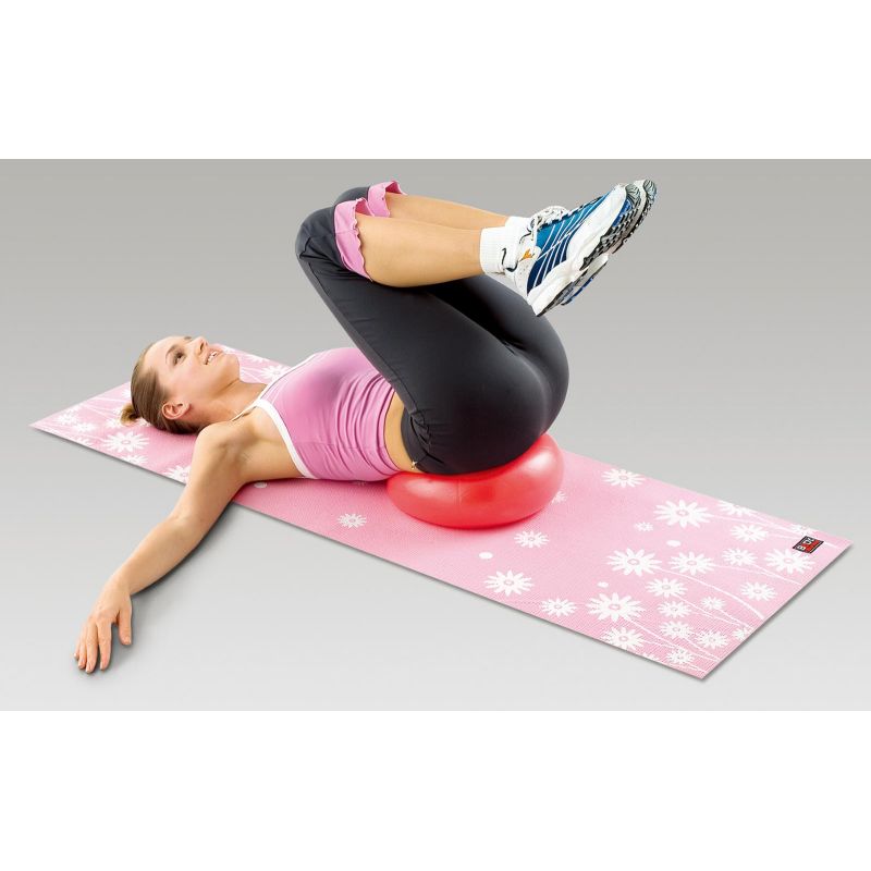 Mini BB 013 gymnastic ball 25 cm Accessories/Training equipment Your Sports Performance