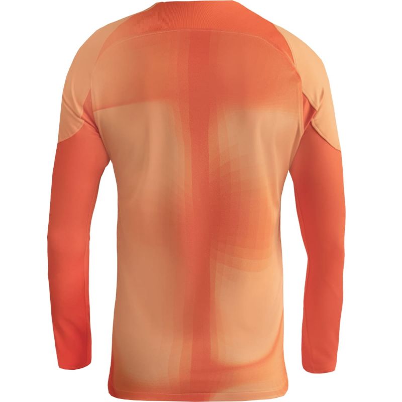 Nike Gardien IV Goalkeeper JSY M DH7967 819 goalkeeper jersey Clothing/Football Nike