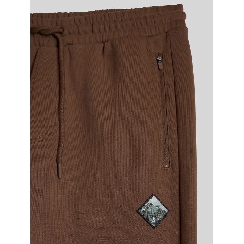 Men's jogger sweatpants 4F 4FRAW26TTROM2092-81S