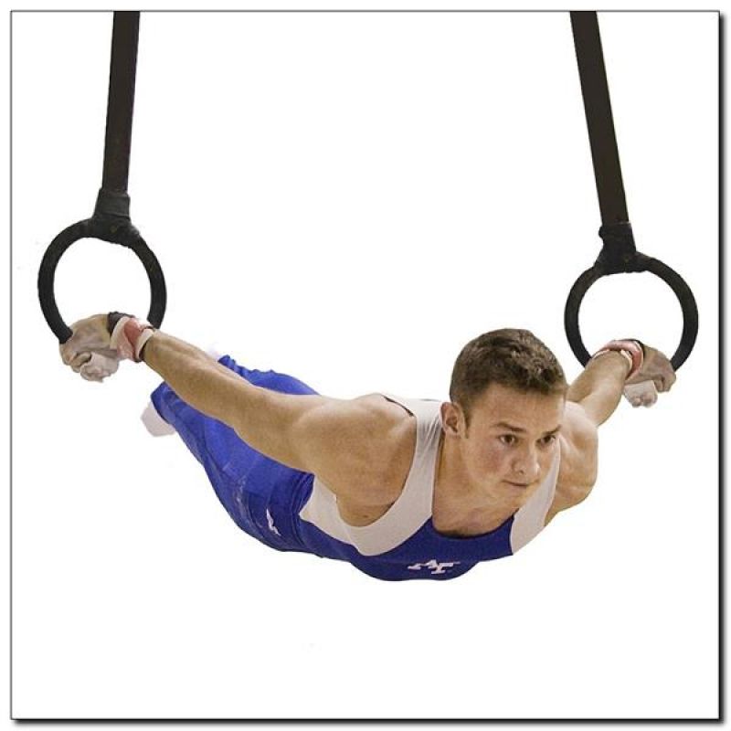HMS TX05 gymnastic rings Accessories/Training equipment Your Sports Performance