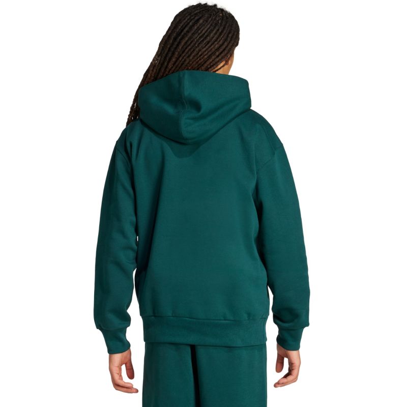 Men's adidas ALL SZN Fleece Hoodie green KB8527 In preparation Adidas