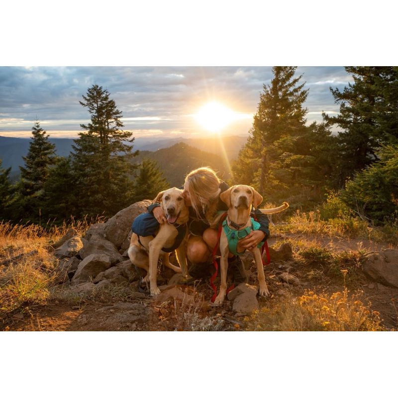 Ruffwear Front Range Day Pack Dog Backpack - Blue Moon Size: XS In preparation Your Sports Performance