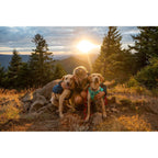 Ruffwear Front Range Day Pack Dog Backpack - Blue Moon Size: XS In preparation Your Sports Performance