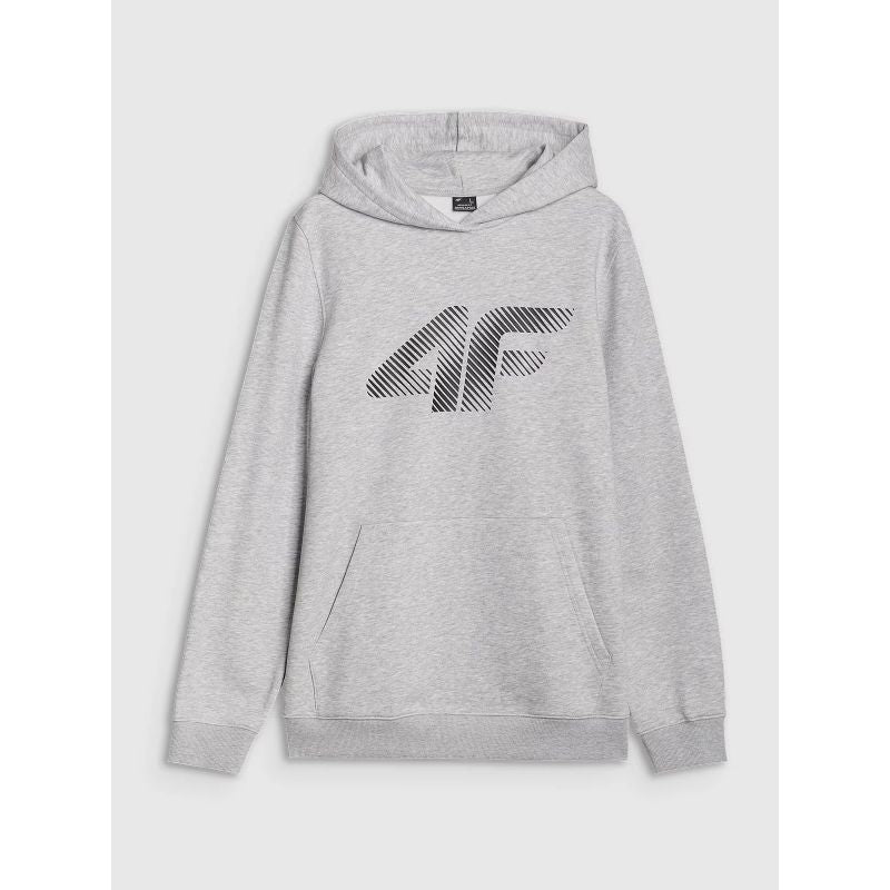 Men's sweatshirt with hood, open, 4F 4FWMM00TSWSM1766-27M *Kategoria tymczasowa Your Sports Performance