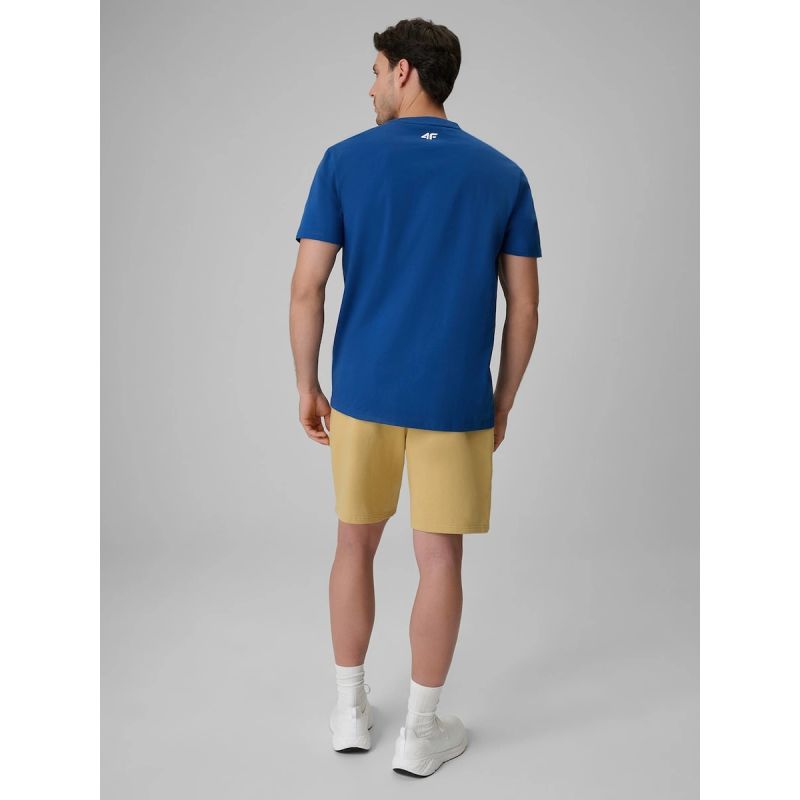 Men's sweatpants 4F 4FRSS26TSHOM0930-83S 4f
