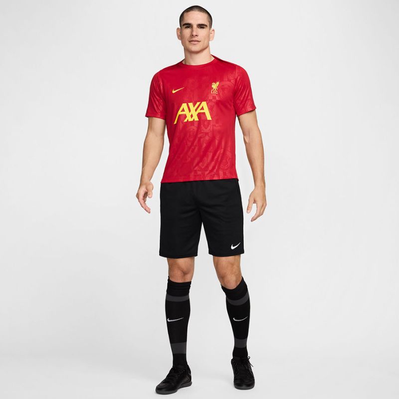 Nike Liverpool FC Academy Pro SStop M T-shirt FN9653-688 Clothing/Football Nike