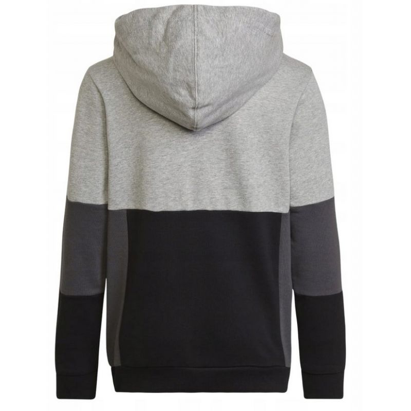Adidas Colourblock Hoodie Jr HN8563 sweatshirt Clothing/Lifestyle Adidas
