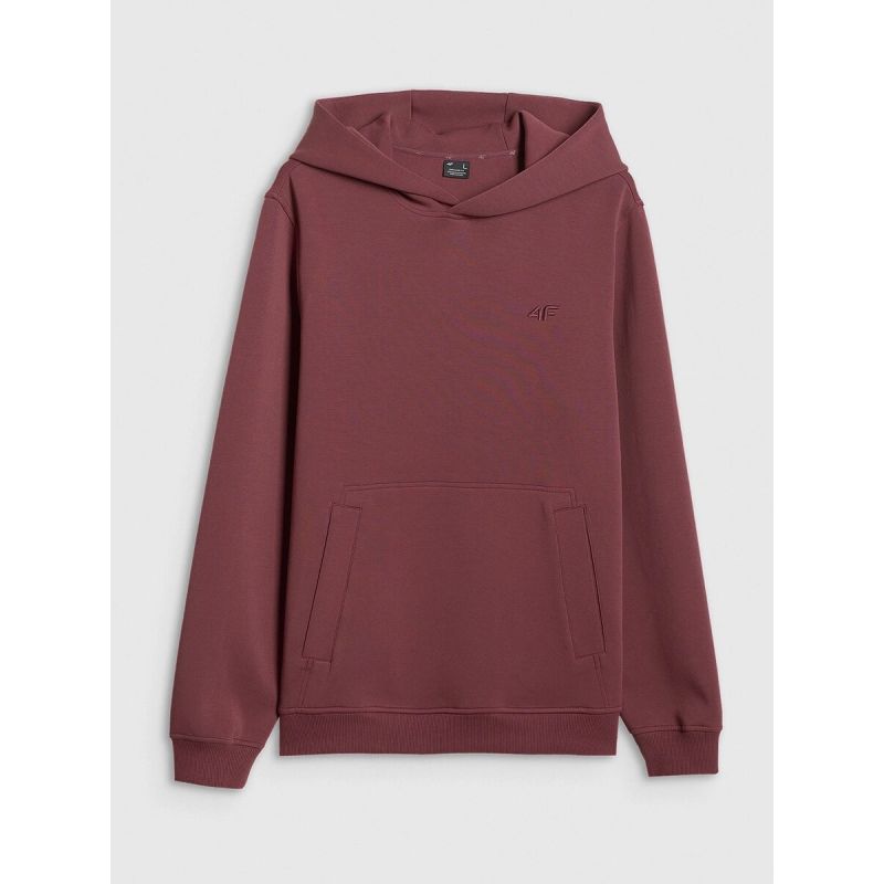Men's regular hooded sweatshirt 4F 4FRSS26TSWSM2793-60S 4f