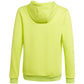 Sweatshirt adidas Entrada 22 Hoody Jr HC5069 Clothing/Football Adidas
