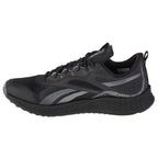 Reebok Floatride Energy 3 Adventure M G58173 running shoes Footwear/Running/Men Reebok