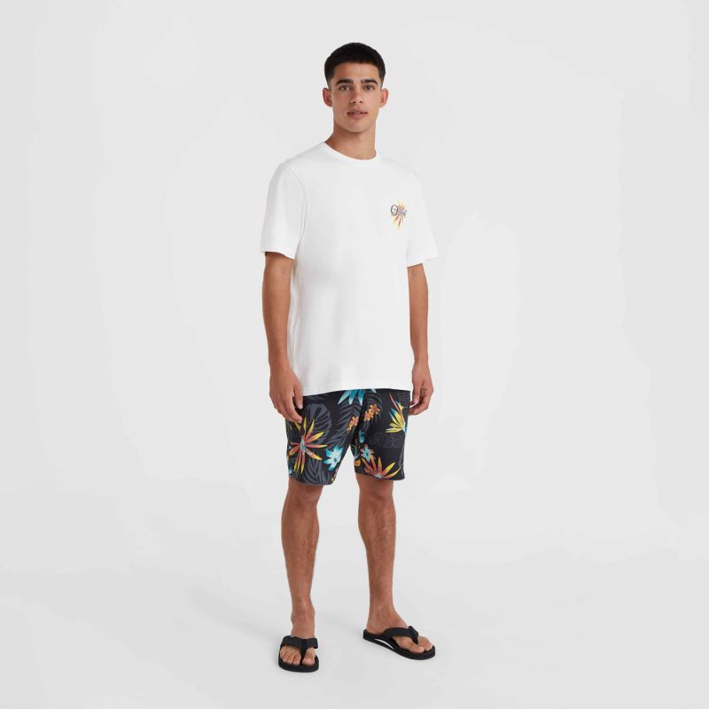 O'Neill Beach Graphic T-Shirt M 92800613984 ONeill