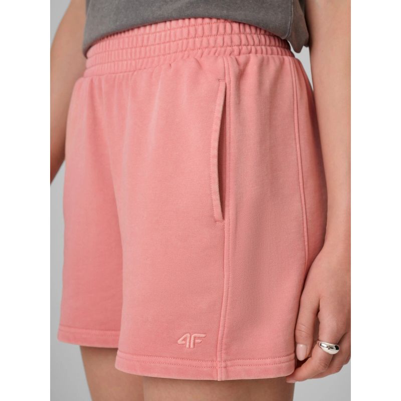 Women's sweatpants 4F 4FRAW26TSHOF0980-64S
