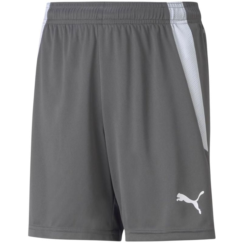 Puma teamLIGA Shorts Jr 704931 13 Clothing/Football Your Sports Performance