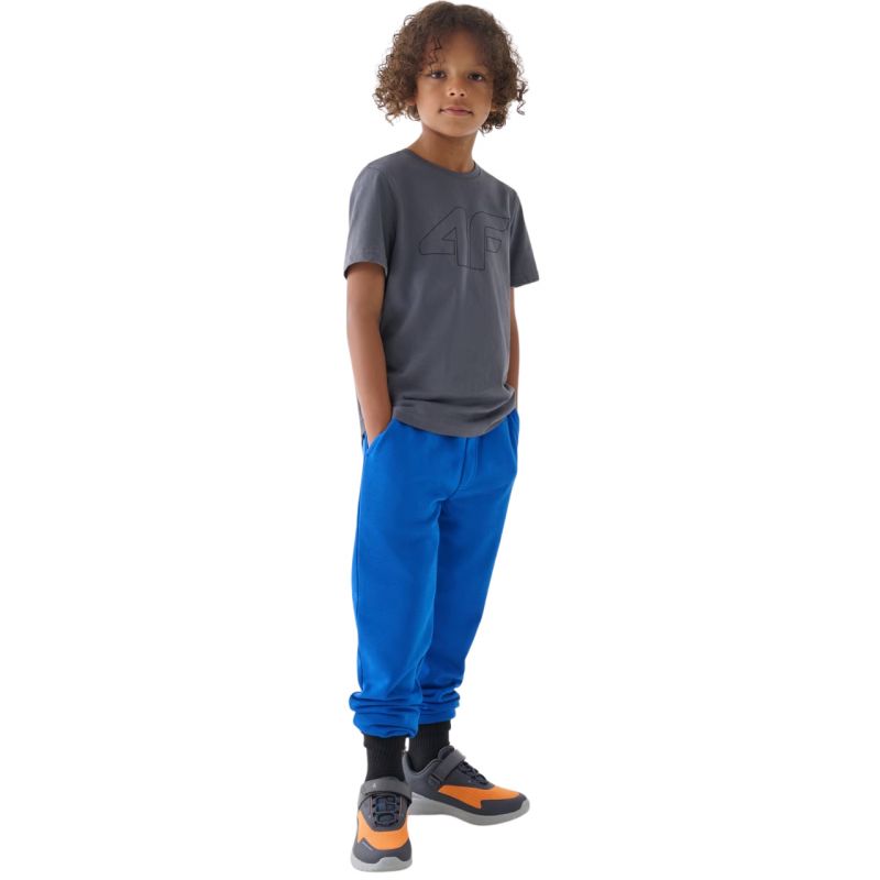 Trousers 4F M0810 Jr 4FJWMM00TTROM0810 36S Clothing/Lifestyle/Trousers, shorts/4F 4F