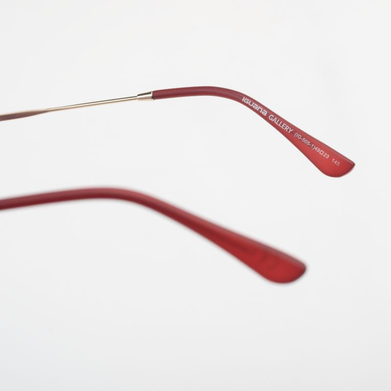 Glasses GALLERY In preparation Your Sports Performance