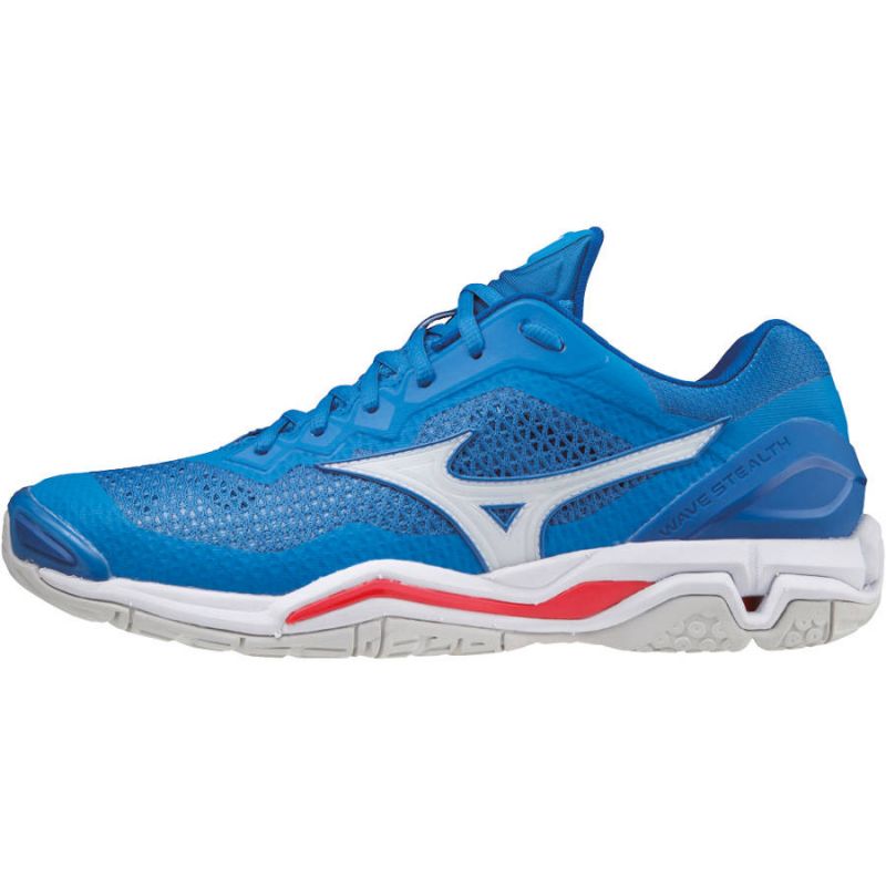Indoor shoes Mizuno Wave Stealth 5 M X1GA180024 Footwear/Handball/Men Mizuno