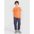 Boys' jogger sweatpants 4F 4FJWSS25TTROM0964-22S *Kategoria tymczasowa Your Sports Performance