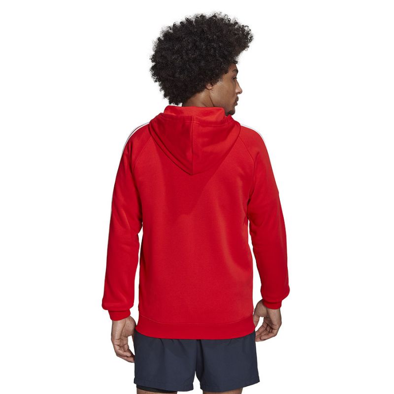 Sweatshirt adidas FC Bayern DNA FZ HD M HF1356 Clothing/Football Adidas