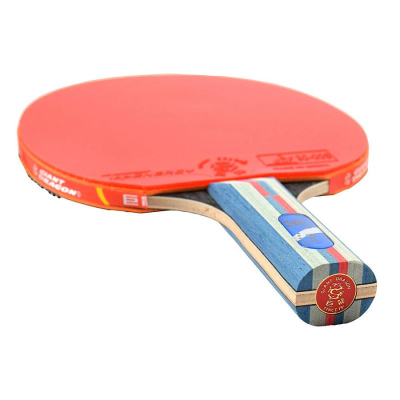 Giant Dragon 6★ N8062 Table Tennis Racket Accessories/Rackets and accessories Your Sports Performance