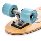 Meteor Summer Sunset 24287 skateboard Accessories/Skating Your Sports Performance