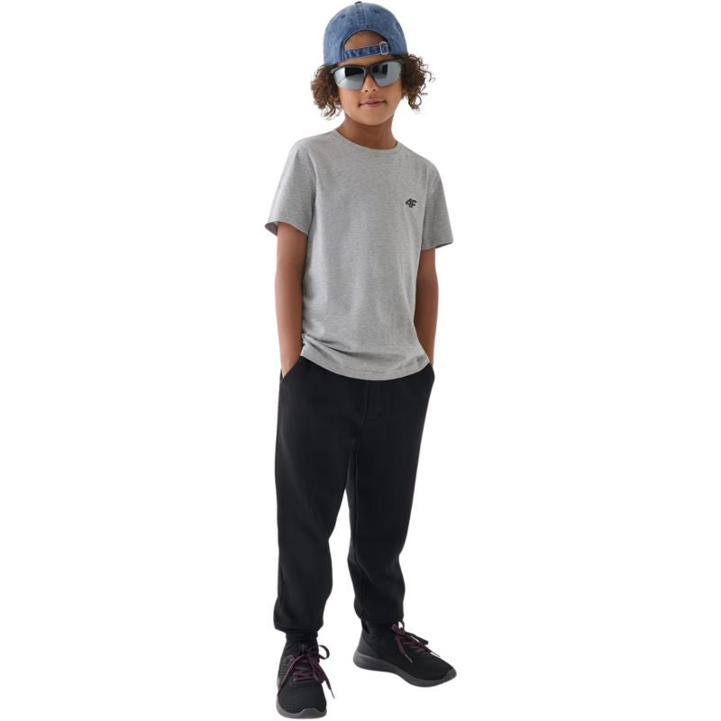 Trousers 4F M0810 Jr 4FJWMM00TTROM0810 20S Clothing/Lifestyle/Trousers, shorts/4F 4F