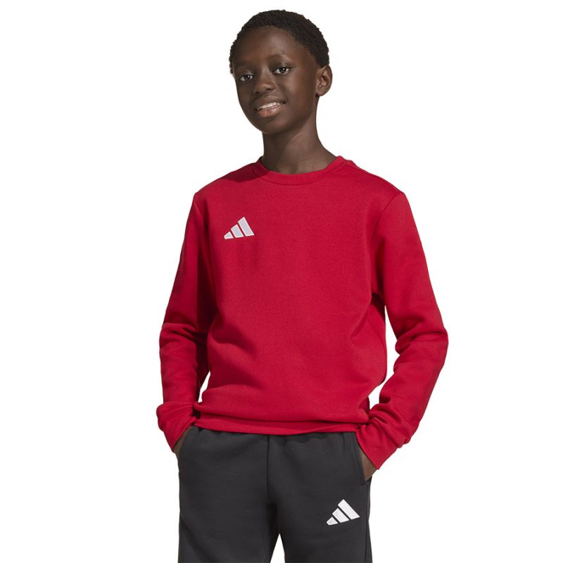 adidas Entrada 26 Sweat Top red JZ6556 To be categorized Your Sports Performance