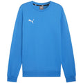 Puma Team Goal Casuals Crew Neck Sweat M 658592 02 Clothing/Training Puma