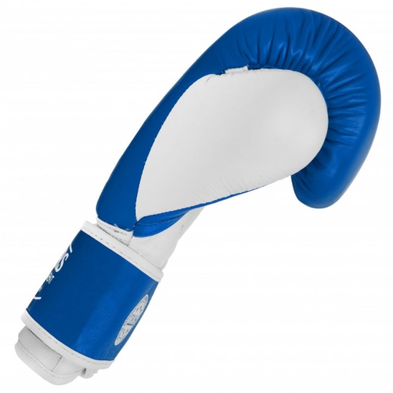 Leather boxing gloves MASTERS RBT-TRW 01210-02 Accessories/Gloves Your Sports Performance
