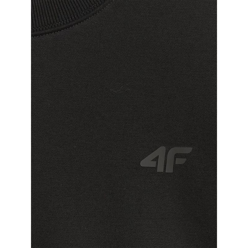 Men's regular sweatshirt without hood 4F 4FRMM00TSWSM3059-20S