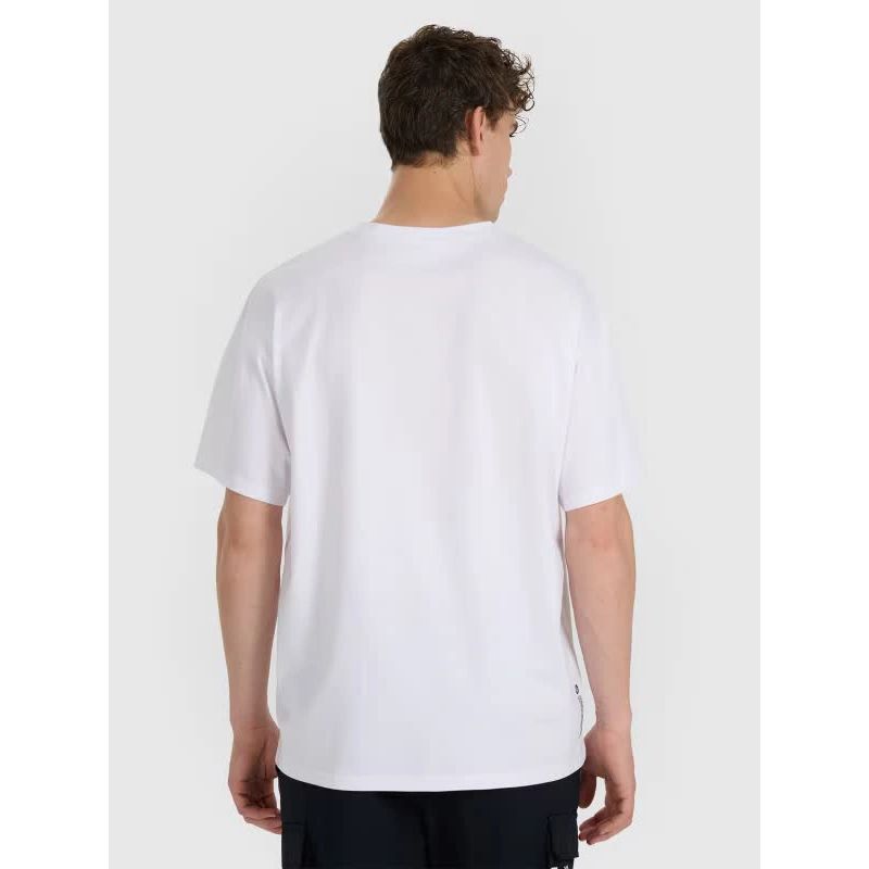 Men's regular printed T-shirt 4F 4FRAW25TTSHM3259-10S 4f