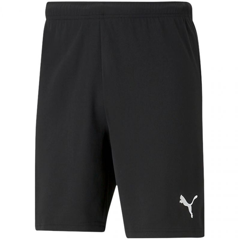Puma teamRISE Short M 704942 04 Clothing/Running Puma