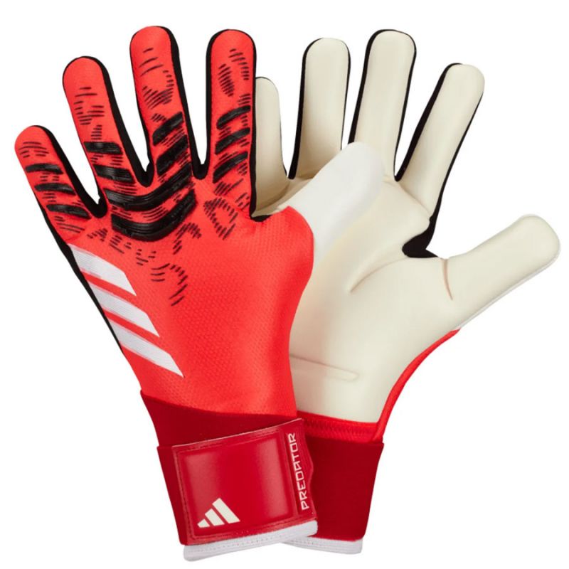 adidas Predator GL Com M JH3821 goalkeeper gloves Accessories/Gloves Adidas