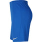 Nike Dry Park III NB M BV6855 463 shorts Clothing/Football Nike
