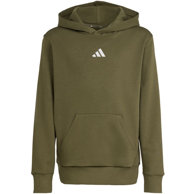 adidas Essentials Hoodie 225 olive KS0367 To be categorized Your Sports Performance