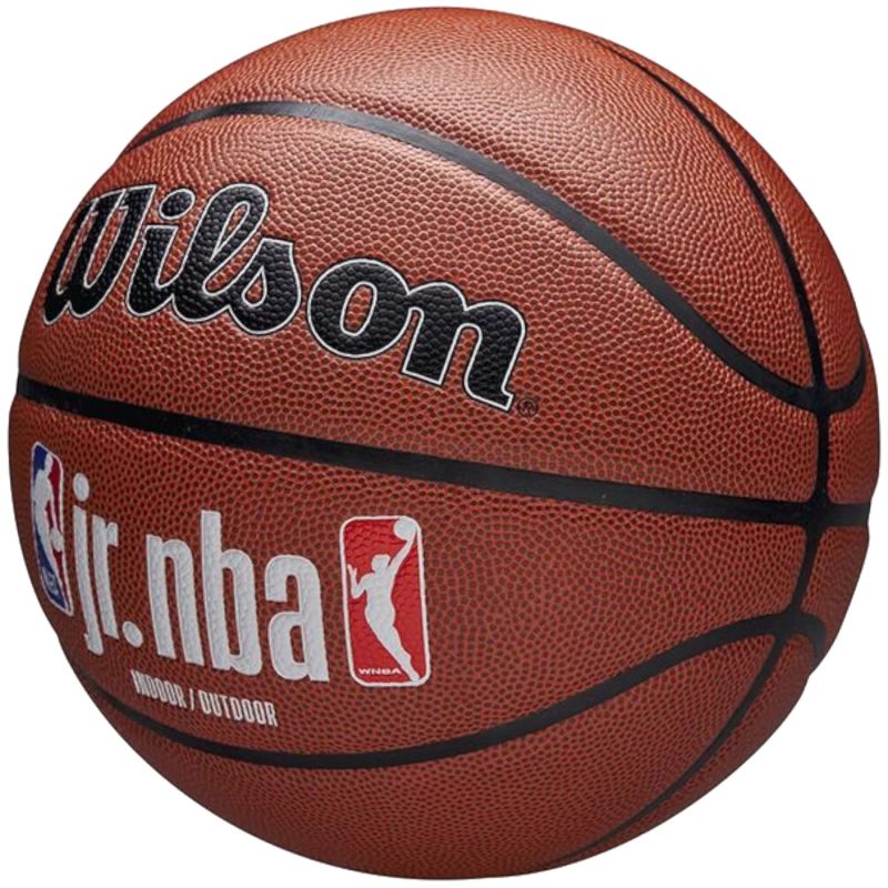 Wilson Jr NBA Fam Logo Auth In Out Ball Basketball WZ2018401XB Accessories/Balls/Basketball Your Sports Performance