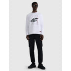 Men's longsleeve regular with print 4F 4FRAW25TLONM606-10S 4f