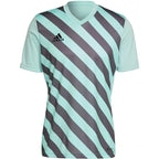 T-shirt adidas Entrada 22 Graphic Jersey M HF0119 Clothing/Training Adidas