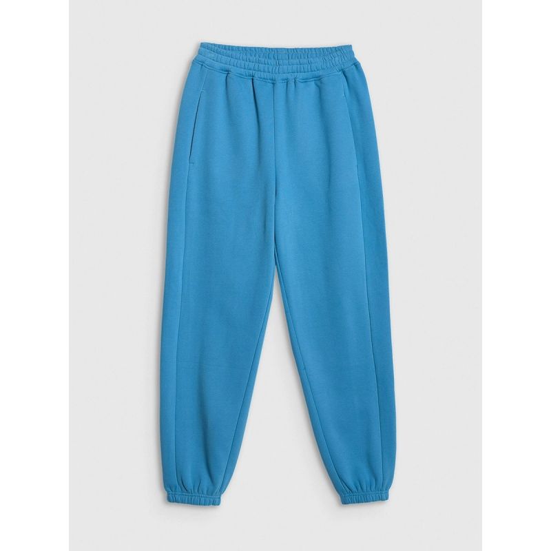 Women's jogger sweatpants 4F 4FRSS26TTROF1724-32S 4f