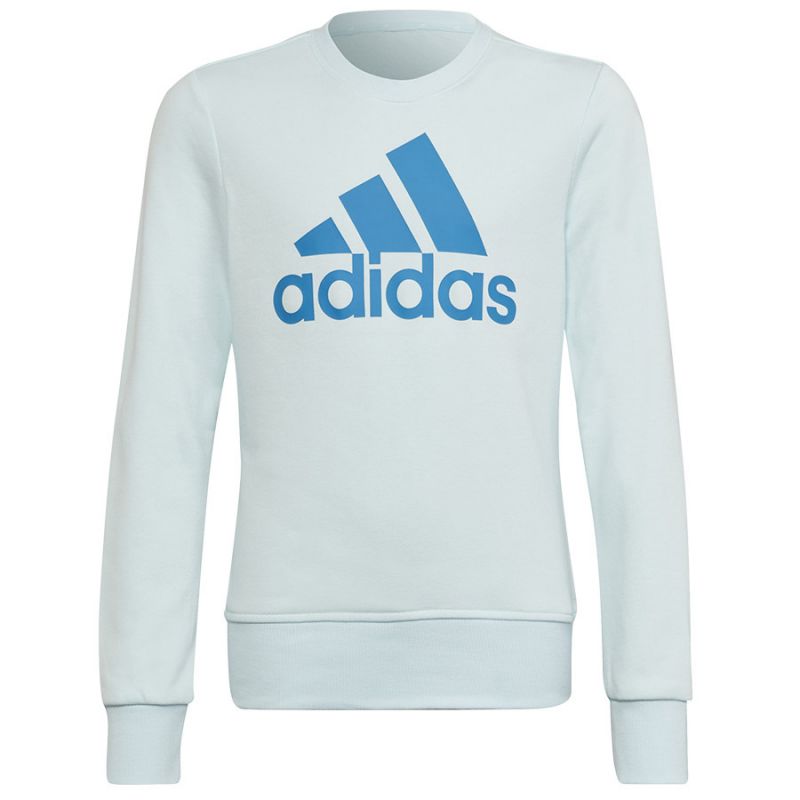 Sweatshirt adidas Big Logo Swt Jr HM8707 Clothing/Training Adidas