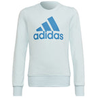 Sweatshirt adidas Big Logo Swt Jr HM8707 Clothing/Training Adidas