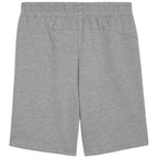 Puma teamGOAL Casuals M shorts 658608 33 Clothing/Training Puma