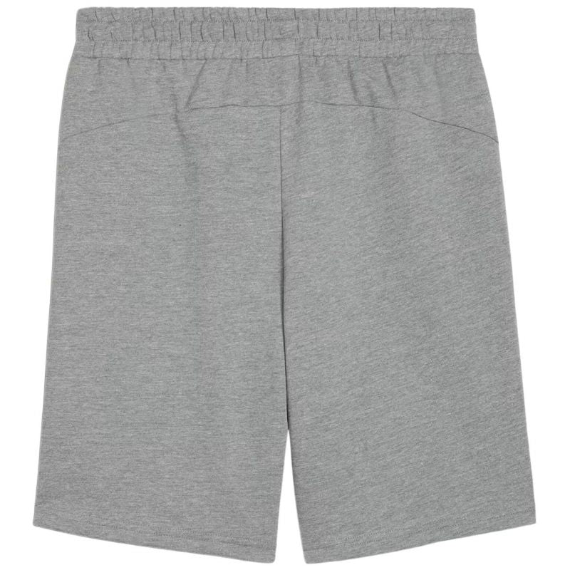 Puma teamGOAL Casuals M shorts 658608 33 Clothing/Training Puma