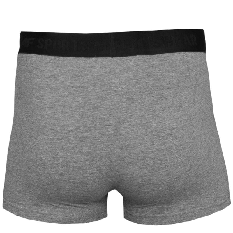 4F Men's Briefs M H4L22-BIM350-90M boxer shorts Clothing/Lifestyle 4F