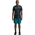 Nike Dri-Fit Gardien VI Goalkeeper Men's T-Shirt Black, Blue, Gray HV8301 010