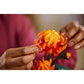 LEGO ICONS 10368 Botanicals - Chrysanthemum In preparation Your Sports Performance